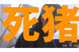 濉溪为什么选择专业追讨公司来处理您的债务纠纷？